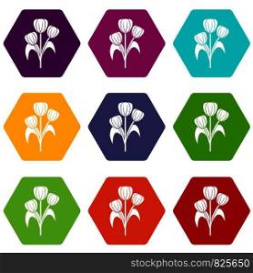 Flowers icon set many color hexahedron isolated on white vector illustration. Flowers icon set color hexahedron