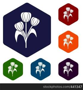 Flowers icons set hexagon isolated vector illustration. Flowers icons set hexagon