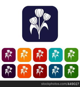 Flowers icons set vector illustration in flat style In colors red, blue, green and other. Flowers icons set flat