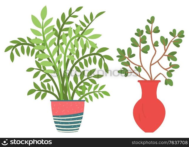 Flowers in vases, floral decor for home flat style flourishing on branches, plant with frondage, tender and elegant design, container interior. Isolated flowerpot with blooming plant . Vector in flat. Houseplant in Vases, Flowers with Flourishing
