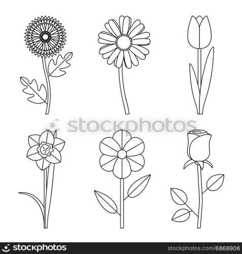 Flowers line drawings. Vector thin illustration of garden flowers.
