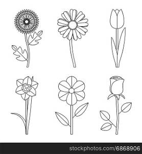 Flowers line drawings. Vector thin illustration of garden flowers.