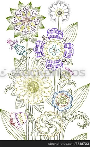 Flowers on a white background, vector illustration