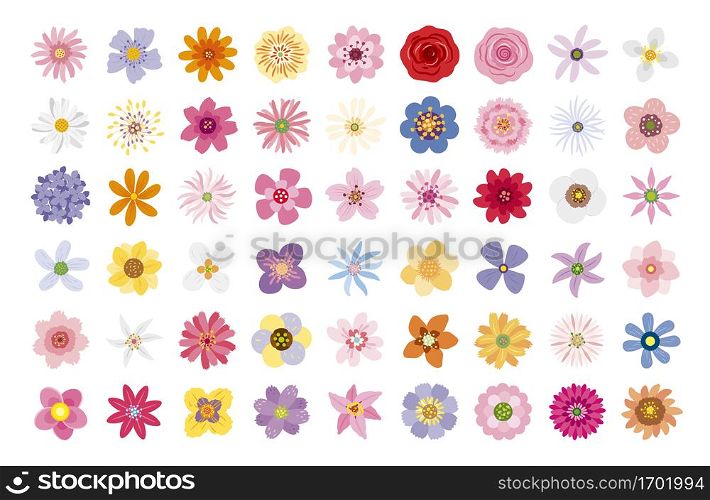Flowers on white background vector illustration