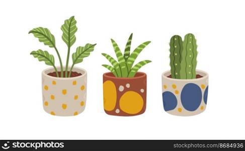 Flowers pot set. Organic flat houseplant collection. Set of house indoor plants. Cactus, aglaonema, sansevieria. Vector illustration.