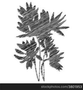 Flowers stencil silhouette, sketch drawing isolated on white