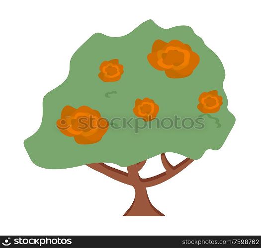 Flowers vector, bush with flowering isolated flora flat style natural blooming, roses or tree with trunk, garden orchard scene, rural area countryside. Tree Growing in Garden, Bushes with Roses Flowers