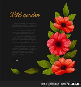 Flowers. Web banner template with Red poppies on black background. Vector illustration. Flowers. Web banner template with Red poppies on black background. Vector illustration.