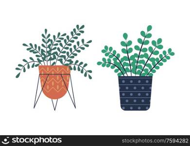 Flowers with foliage vector, set of plants flat style. Isolated houseplant from hothouse, flowerpot with dots, container standing on metal construction. Greenhouse Plants Growing in Pots, Flowers Set