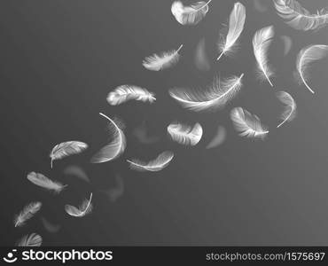 Fluff feathers. Realistic angel wings feather flow, falling bird plumage, fluffy swan or dove 3d twirled feathers vector background illustration. Lightness flow plume, floating lightweight feather. Fluff feathers. Realistic angel wings feather flow, falling bird plumage, fluffy swan or dove 3d twirled feathers vector background illustration