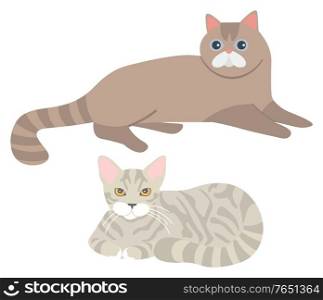 Fluffy cats vector, isolated set of kitty laying on floor. Furry character domesticated mammals, home pets, kittens with fur of grey colors flat style. Cats Laying on Floor, Set of Kittens Fluffy Kitty
