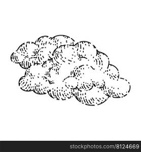 fluffy cloud sketch hand drawn vector white sky, smoke space, cloudy heaven vintage black line illustration. fluffy cloud sketch hand drawn vector