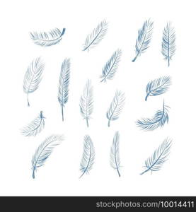 Fluffy feather collection. Realistic quill feathers for pen detail elegant silhouette. 