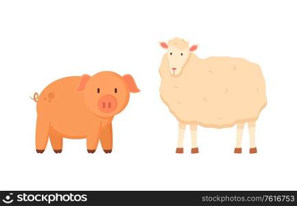 Fluffy sheep and porky pig vector, isolated domestic animals on farm, farming and breeding of mammals for agriculture, funny characters standing together. Pig and Sheep, Domestic Animals Farming Set Vector