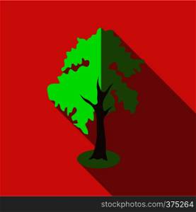 Fluffy tall tree icon. Flat illustration of fluffy tall tree vector icon for web. Fluffy tall tree icon, flat style