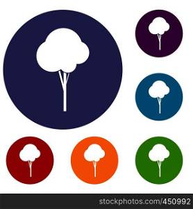 Fluffy tree icons set in flat circle reb, blue and green color for web. Fluffy tree icons set