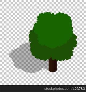 Fluffy tree isometric icon 3d on a transparent background vector illustration. Fluffy tree isometric icon