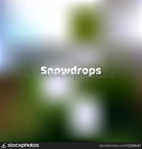 Fluid colors background, square blurred background,green, grey, blue, gradient vector illustration White text - snowdrops. Fluid colors background, square blurred background,green, grey,