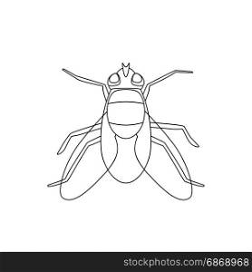 Fly line drawing. Fly line drawing. Vector thin illustration of housefly