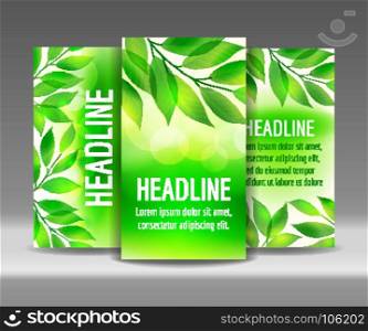 Flyer set of green leaves backgrounds. Flyer set of green leaves backgrounds, vector illustration