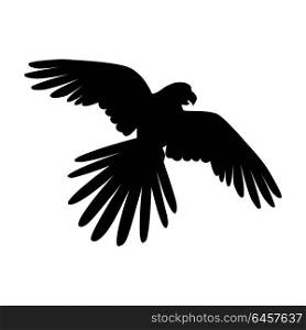 Flying Ara Parrot Flat Design Vector Illustration. Ara parrot vector. Birds of Amazonian forests in flat design illustration. Fauna of South America. Flying black Ara parrot for icons, posters, childrens books illustrating. Isolated on white.