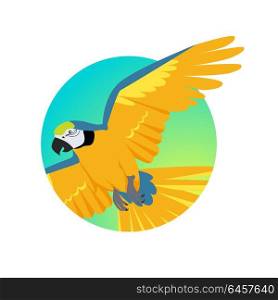 Flying Ara Parrot Flat Design Vector Illustration. Ara parrot vector. Birds of Amazonian forests in flat design illustration. Fauna of South America. Flying colorful Ara parrot for icons, posters, childrens books illustrating. Isolated on white.