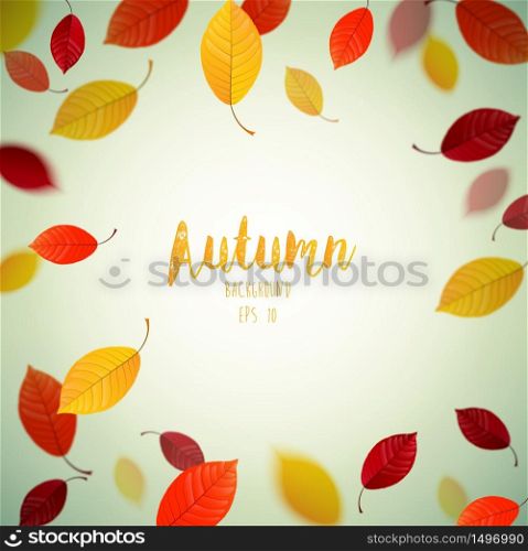 Flying autumn beech leaves background.Vector