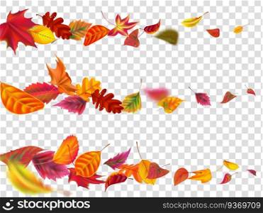 Flying autumn leaves. Fall leaf banner, yellow garden leafage fly. September and october foliage leaves fall swirl motion. Realistic isolated vector illustration set. Flying autumn leaves. Fall leaf banner, yellow garden leafage fly realistic vector illustration set