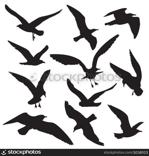 Flying birds black silhouettes vector set. Flying birds black silhouettes vector set. Dove and hawk, eagle and seagull illustration
