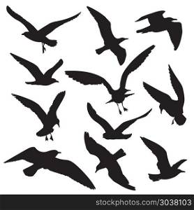 Flying birds black silhouettes vector set. Flying birds black silhouettes vector set. Dove and hawk, eagle and seagull illustration