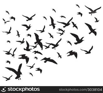 Flying birds flock vector illustration isolated on white background. Flying birds flock vector illustration isolated on white background. Silhouette of black pigeon hawk and eagle