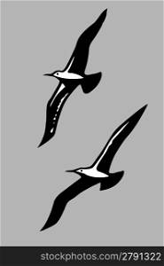 flying birds silhouette on gray background, vector illustration
