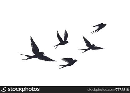 Flying birds silhouette on white background. Vector set of flock of swallows sign. Tattoo spring bird or swift birds in sky crowd fly.. Flying birds silhouette on white background. Vector set of flock of swallows sign. Tattoo spring bird or swift birds