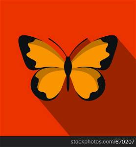 Flying butterfly icon. Flat illustration of flying butterfly vector icon for web. Flying butterfly icon, flat style.
