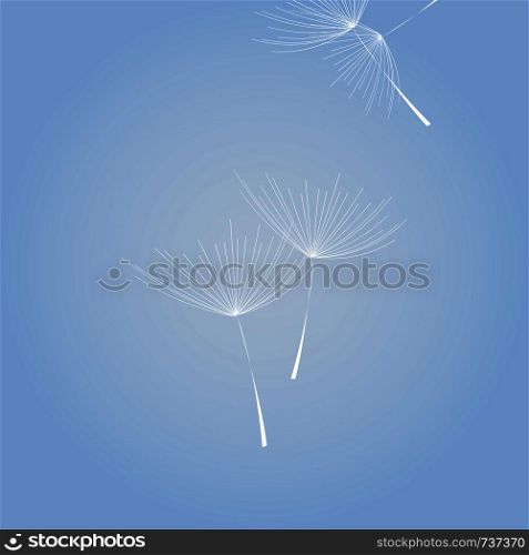 Flying Dandelion white on blue background, blue sky