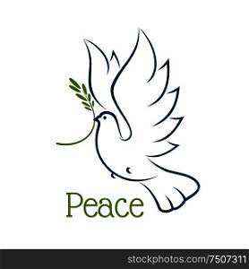 Flying dove or pigeon with olive branch and elegant curved wings isolated on white background. For peace or religion concept. Dove or pigeon with olive branch