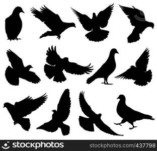 Flying dove vector silhouettes isolated. Pigeons set love and peace symbols. Black shape form dove and pigeon silhouette illustration. Flying dove vector silhouettes isolated. Pigeons set love and peace symbols