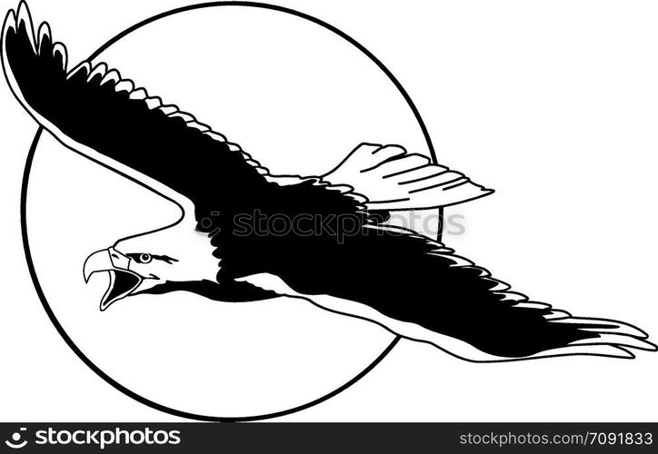 Flying eagle