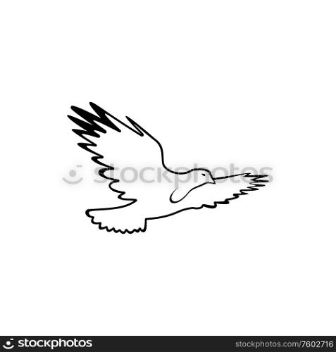Flying eagle in flight isolated bird. Vector falcon, outline symbol of freedom. Bird in flight isolated falcon or eagle