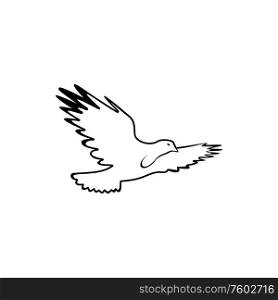 Flying eagle in flight isolated bird. Vector falcon, outline symbol of freedom. Bird in flight isolated falcon or eagle