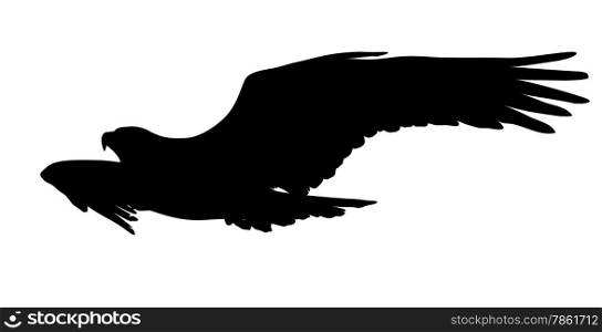 Flying eagle vector silhouette. EPS8