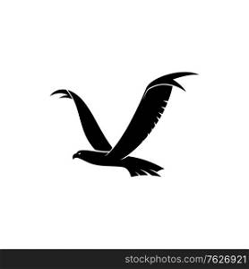 Flying hawk isolated bird silhouette. Vector eagle or falcon in flight, heraldry mascot symbol. Falcon, eagle or hawk bird in flight