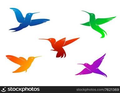 Flying hummingbirds set with color plumage isolated on white background
