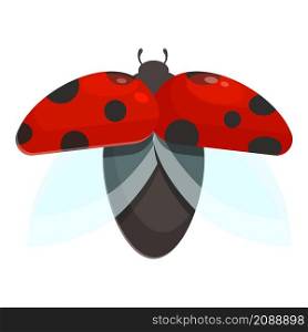 Flying ladybird icon cartoon vector. Ladybug beetle. Spring bug. Flying ladybird icon cartoon vector. Ladybug beetle