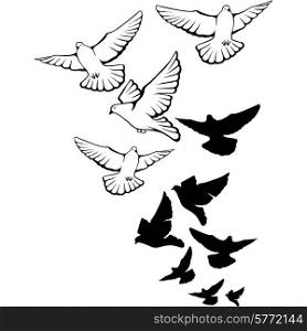 Flying pigeons background. Hand drawn vector illustration.. Flying pigeons background. Hand drawn vector illustration