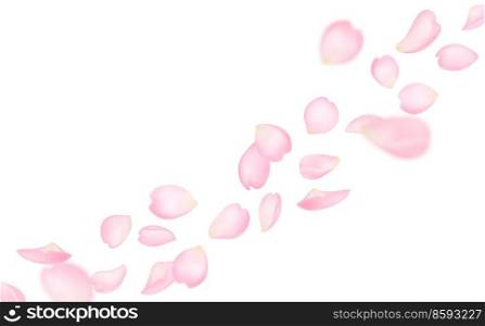 Flying sakura petals background of cherry blossom pink petals, vector flowers. Sakura petals falling, realistic blooming floral blossoms in wind, Valentine love, spring and wedding background. Flying sakura petals background of cherry blossom