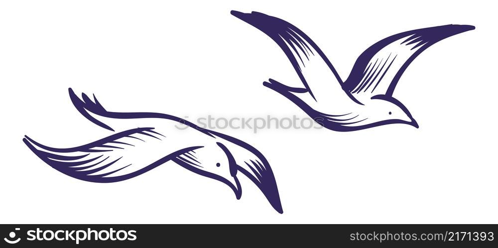 Flying sea gulls. Sketch style blue lines birds in air isolated on white background. Flying sea gulls. Sketch style blue lines birds in air