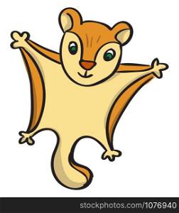 Flying squirrel, illustration, vector on white background.