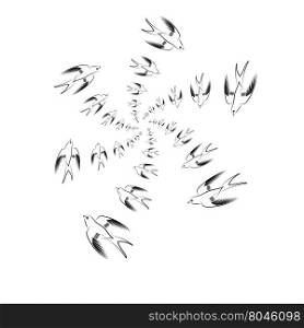 Flying Swallow Animal Pattern.. Flying Swallow Animal Pattern. Bird Geometric Background.