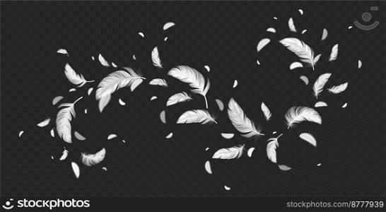 Flying white feathers png isolated on transparent background. Realistic vector illustration of abstract swirl of light fluffy plumage in air. Symbol of lightness, angels flight trail, hope and peace. Flying white feather png on transparent background